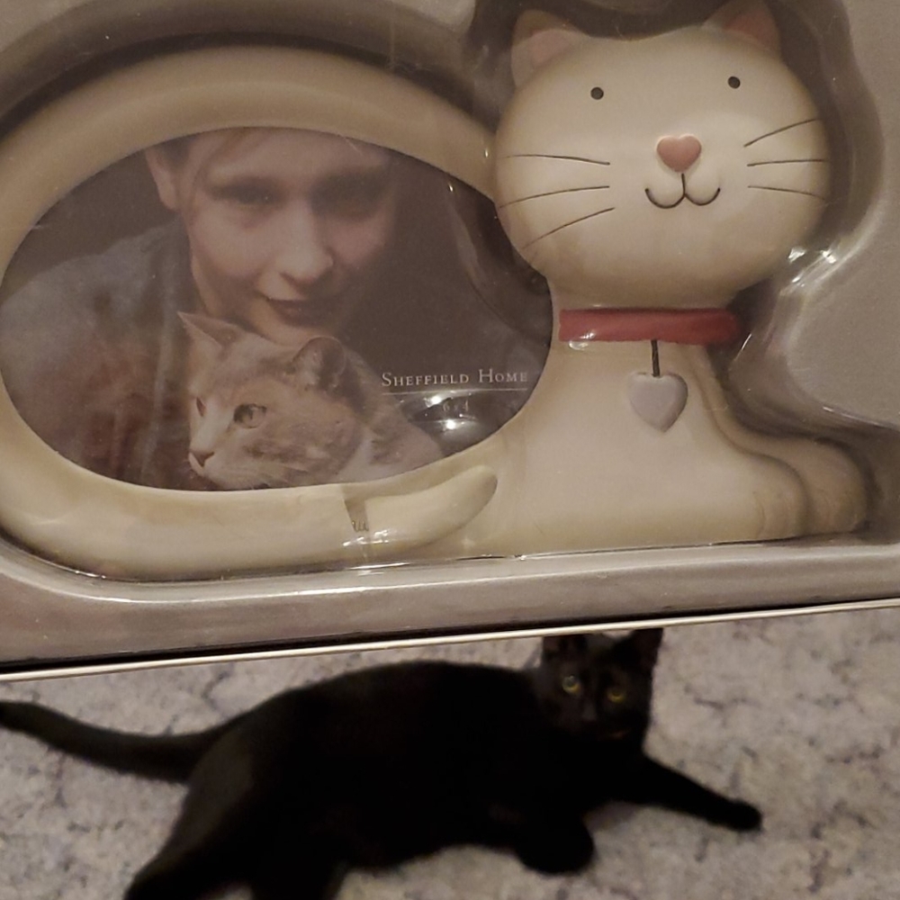Sheffield Home Cat Frame